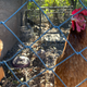 Routers were tested at a distance of 3 feet, 25 feet, 45 feet, and if applicable, 100 feet. This required me to go outside and hunker by the chicken coop. The chickens were not impressed.